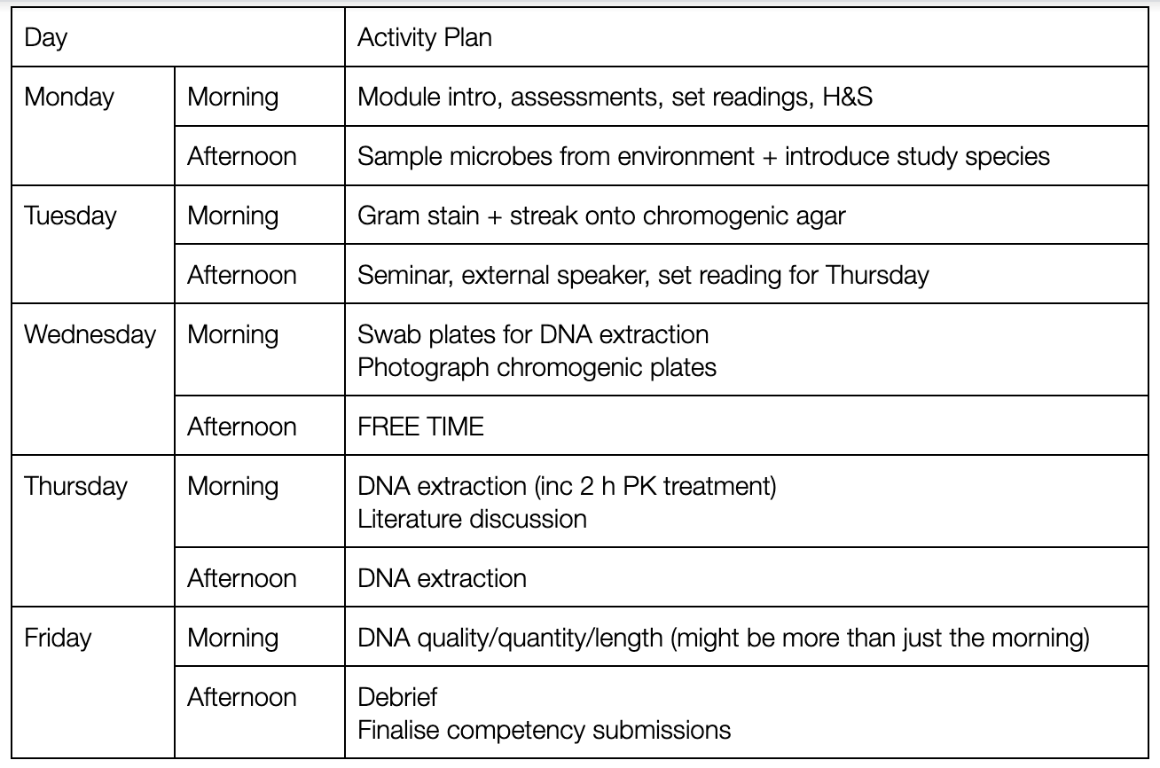 weekA timetable
